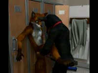 Locker room gay beastiality sex with fox and dog